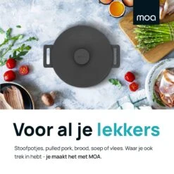 MOA Gietijzeren Braadpan - Inhoud 7,1 Liter - 29CM - Rond - Alle Warmtebronnen - Ook Voor Inductie - Gewicht 7,6 Kg - Zwart - MC29B -Keukenproducten Winkel 1200x1200 643