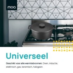 MOA Gietijzeren Braadpan - Inhoud 7,1 Liter - 29CM - Rond - Alle Warmtebronnen - Ook Voor Inductie - Gewicht 7,6 Kg - Zwart - MC29B -Keukenproducten Winkel 1200x1200 646