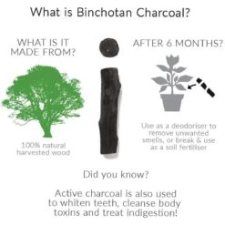 Black + Blum Binchotan Active Charcoal For Eau Good Water Bottles 4-pack -Keukenproducten Winkel 1200x1200 799