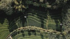 Sola Bestekset Bali - Modern - 9 Persoons - 90 Delig - Zilverwit Edelstaal 18/10 - RVS - Zilver -Keukenproducten Winkel 1200x675