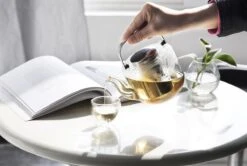 Viva Scandinavia Bjorn Theepot - Glas - Met Filter - 1,2 L - Transparant 19 Viva Scandinavia Bjorn Theepot - Glas - Met Filter - 1,2 L - Transparant -Keukenproducten Winkel 1200x807 4