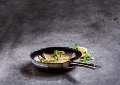 BK Allround Koekenpan Ø 24 Cm - Inductie - PFAS-vrij -Keukenproducten Winkel 1200x851 1