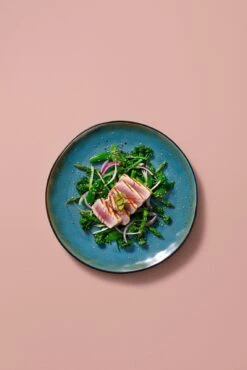 Palmer Serviesset Lotus Stoneware 6-persoons 24-delig Zwart Turquoise -Keukenproducten Winkel 801x1200 5